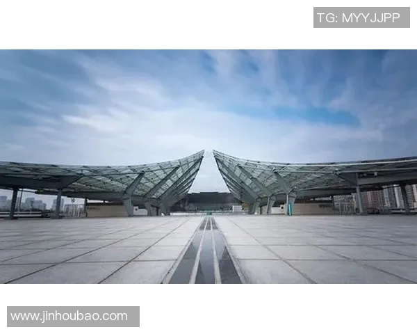 南京网球队创历史新高网球耐力排名引发广泛关注与讨论